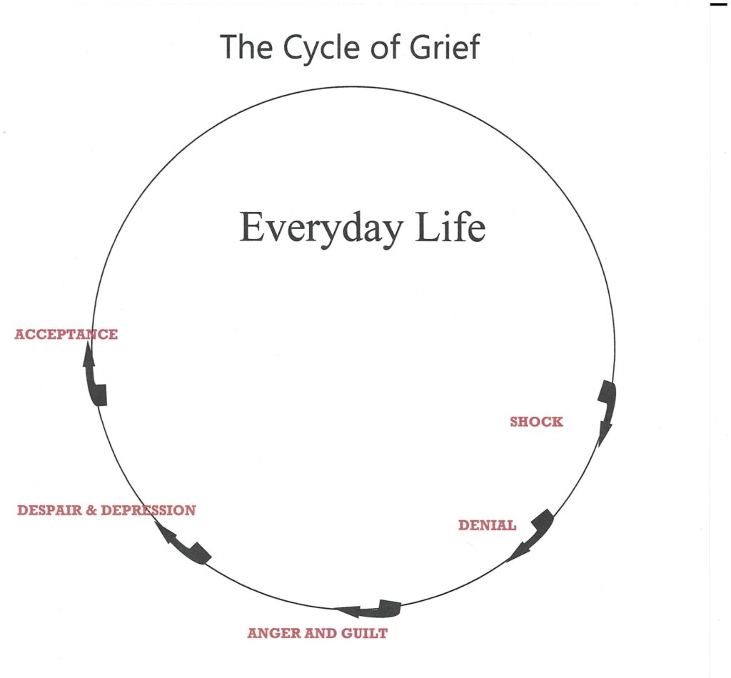 Grief Cycle Diagram | Dolphin Hypnotherapy & Psychotherapy Practice