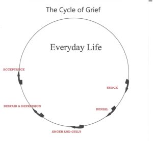 Grief Cycle Diagram